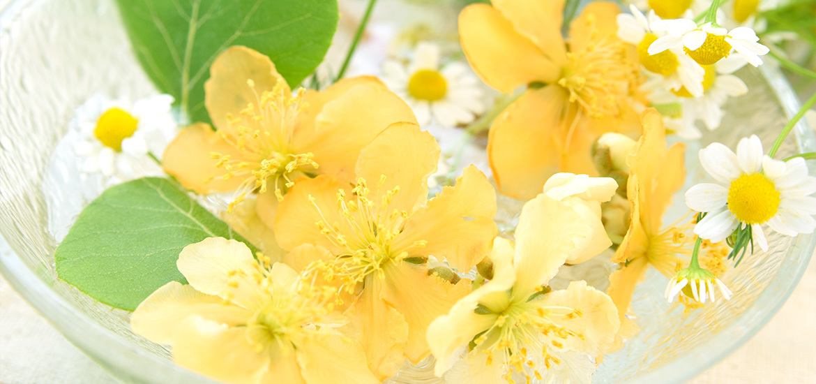 北葛城郡王寺町王寺 王寺駅 新王寺駅 整形外科 外科